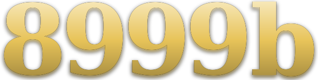 8999b logo